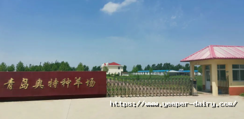 1652660122501276nUhk.png